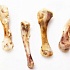 Ученые описали внешний вид обглоданной человеком кости